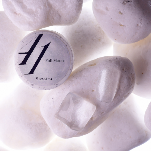 Sazalea Color Gel 41 4g