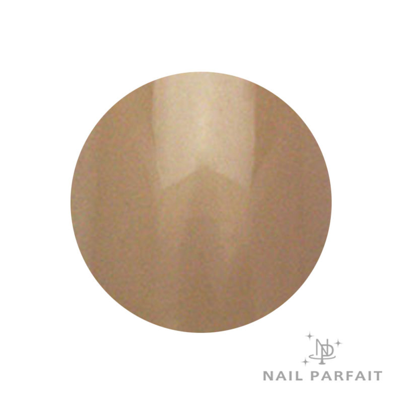 Nail Parfait Color Gel 111 Nature Tail