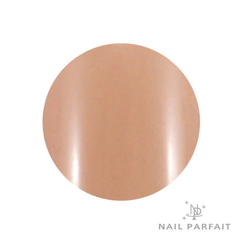 Nail Parfait Color Gel 05 Marron