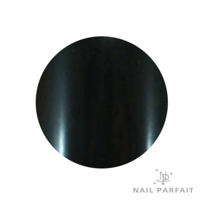 Nail Parfait Color Gel 10 Black