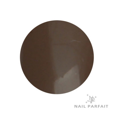 Nail Parfait Color Gel A4 art dark brown